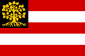 Flag of 's-Hertogenbosch.png