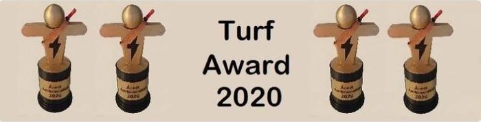 Turf Award banner 2020.JPG