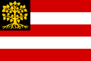 's-Hertogenbosch flagga